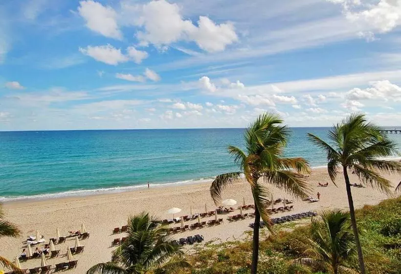 Standard-huone King-vuode, Tideline Palm Beach Ocean Resort And Spa