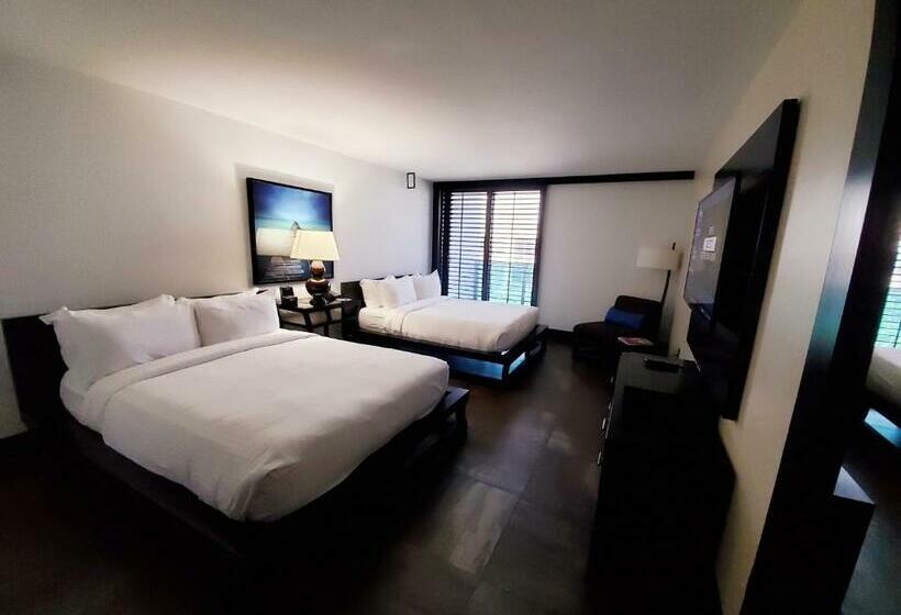 标准房带园景, Tideline Palm Beach Ocean Resort And Spa