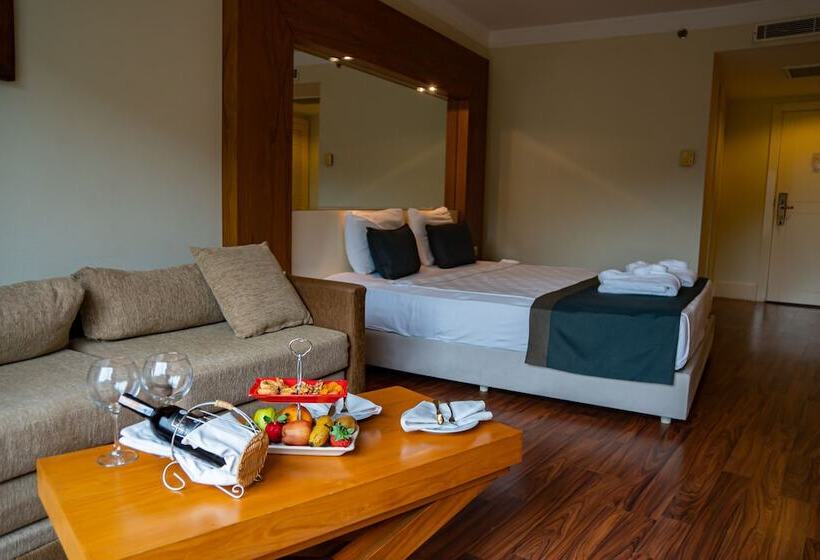 Номер Стандарт, Meder Resort Hotel   Ultra All Inclusive