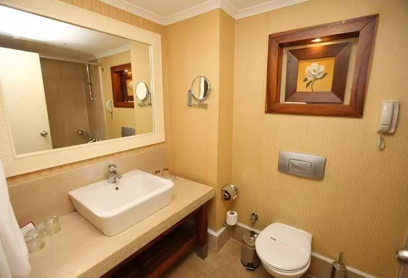 اتاق استاندارد با چشم‌انداز استخر, Meder Resort Hotel   Ultra All Inclusive