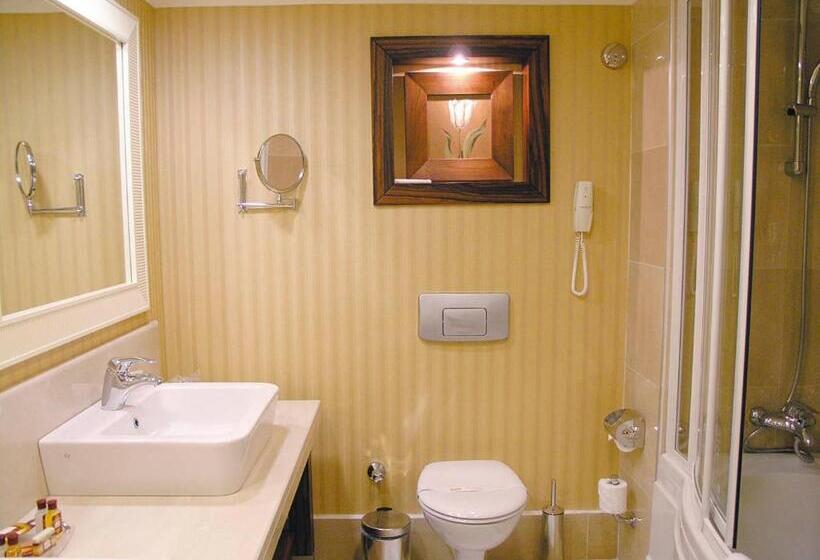 Номер Стандарт, Meder Resort Hotel   Ultra All Inclusive