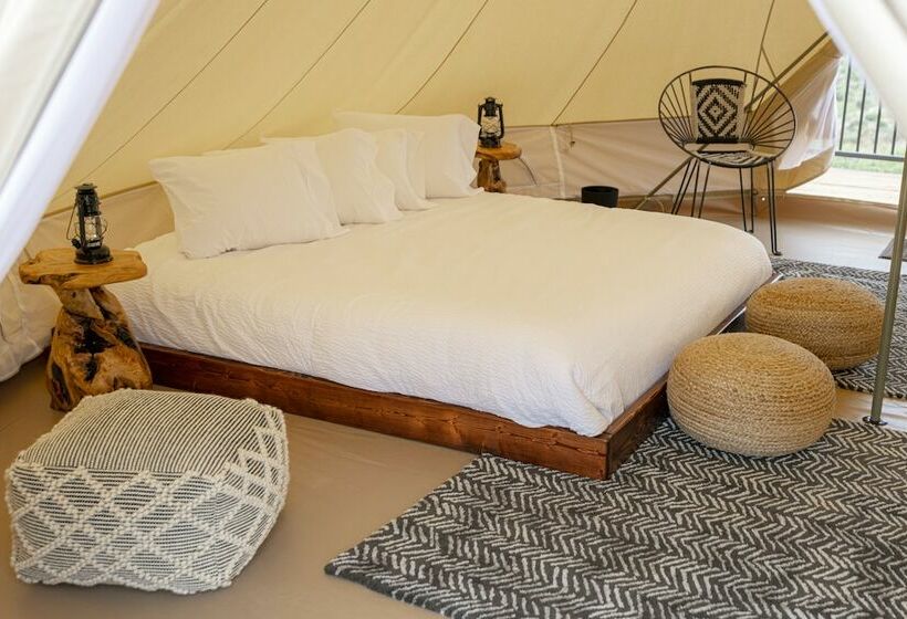 Standard Tent, Zion Wildflower