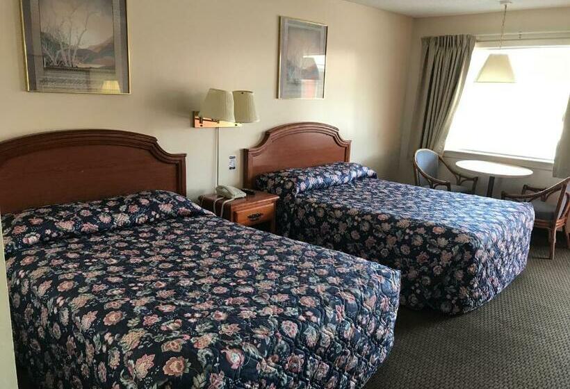 Номер Стандарт 2 Двуспальные Кровати, Parkview Motel