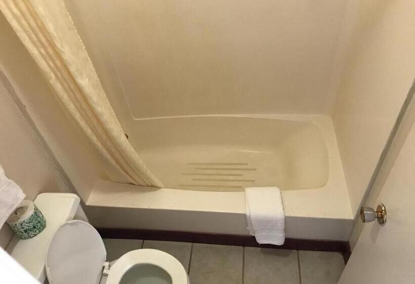 غرفة قياسية سرير كينج, Parkview Motel