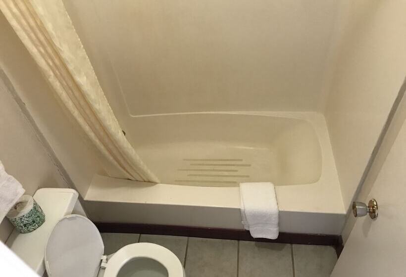 غرفه قياسيه سريرين مزدوجين, Parkview Motel