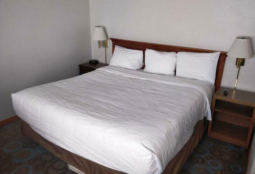 اتاق استاندارد با تخت بزرگ, Ventura Grand Inn