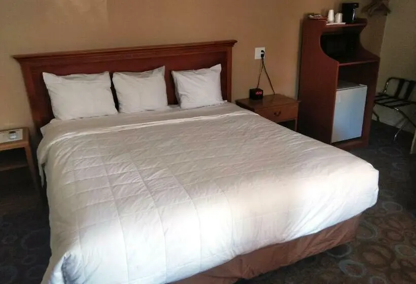 キングサイズベッドのスタンダードルーム, Ventura Grand Inn