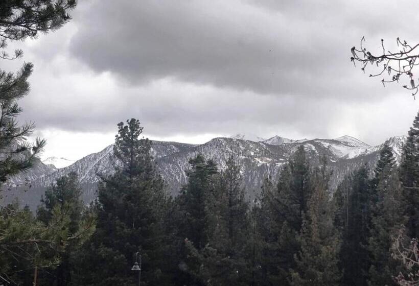 اتاق استاندارد یک نفره, Ventura Grand Inn