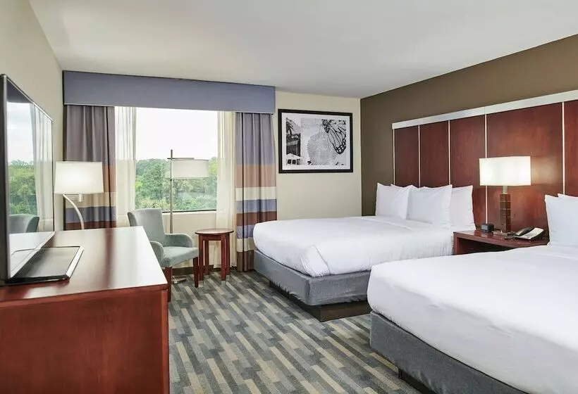 اتاق استاندارد با 2 تخت دوبل, Doubletree By Hilton Raleigh Crabtree Valley