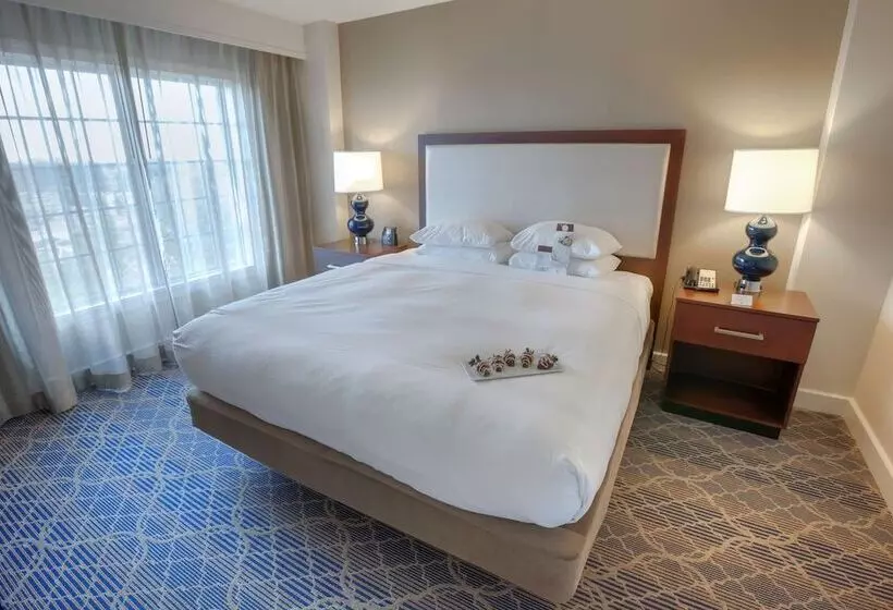 身障者適用スイートルーム, Doubletree Suites By Hilton At The Battery Atlanta