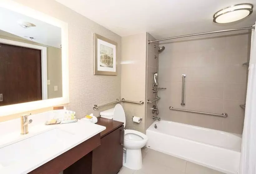 身障者適用スイートルーム, Doubletree Suites By Hilton At The Battery Atlanta