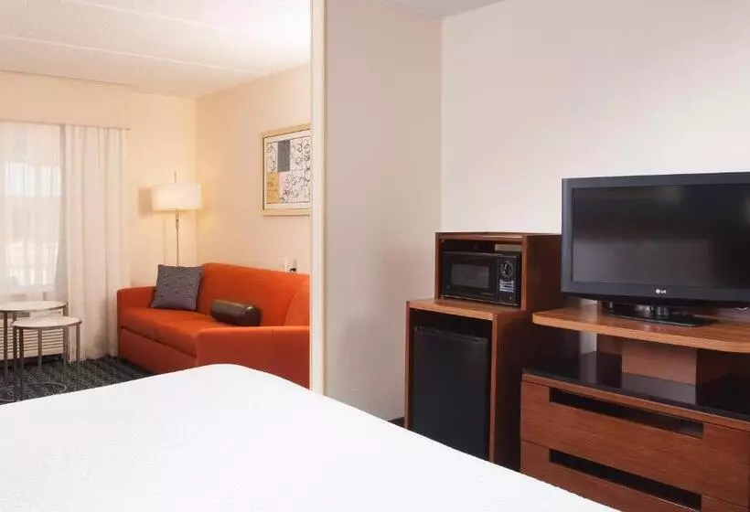 اتاق لوکس با تخت بزرگ, Fairfield Inn Greenvillespartanburg Airport
