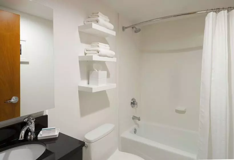 Standard-huone 2 Parivuodetta, Hampton Inn Madison Square Garden Area