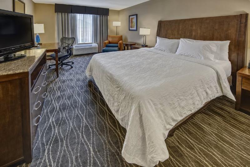 キングサイズベッドのスタンダードルーム, Hilton Garden Inn Houston/bush Intercontinental Airport