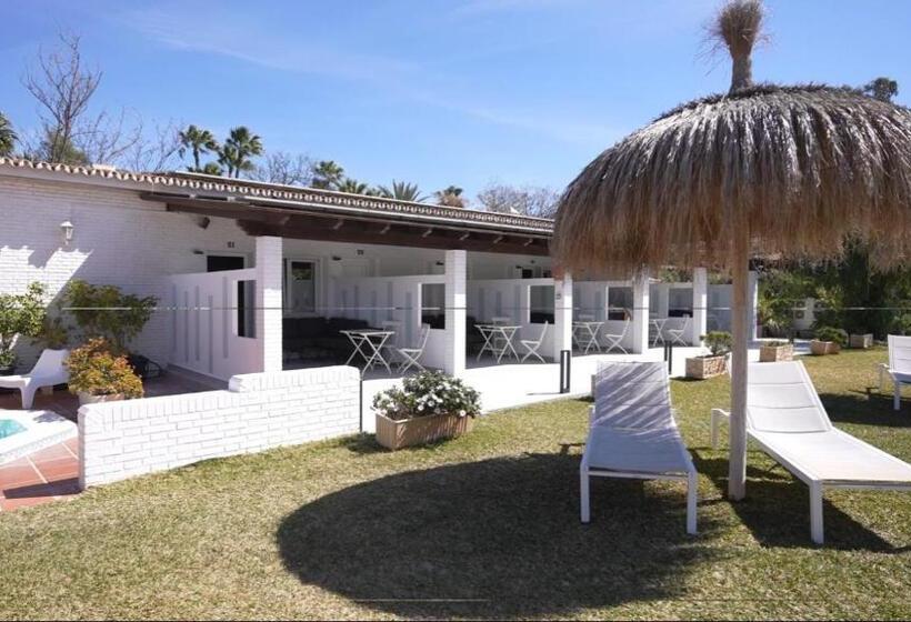 اتاق سوپریور با چشم‌انداز استخر, Malaga Picasso