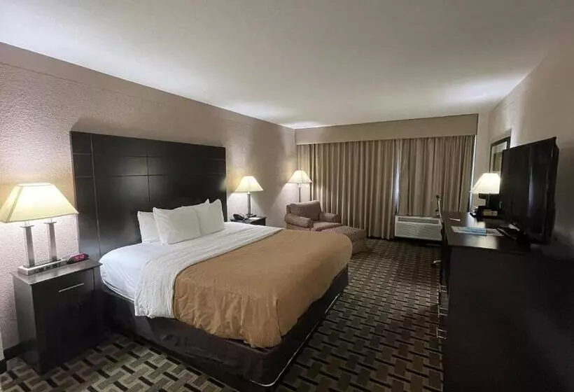 キングサイズベッドのデラックスルーム, Quality Inn & Suites