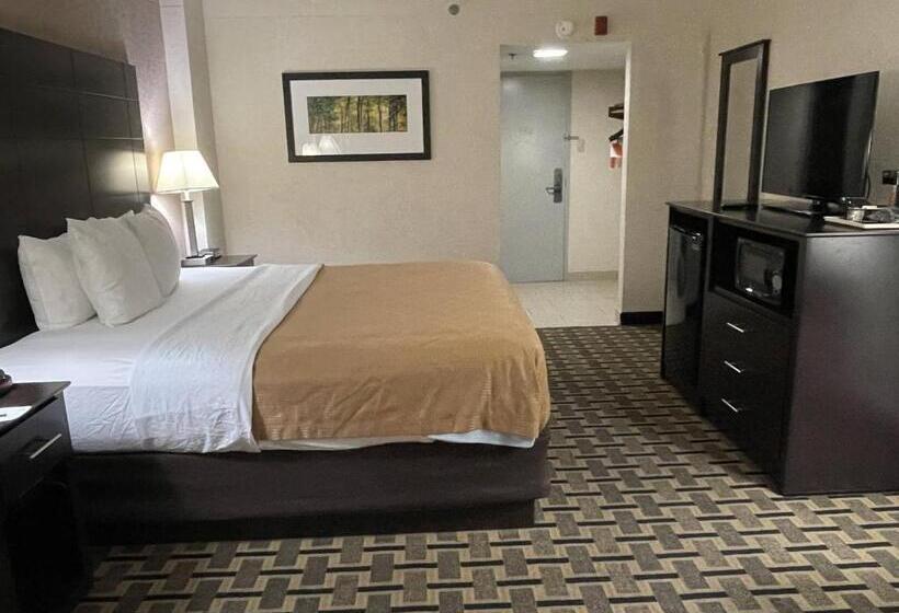 Quarto Deluxe Cama King, Quality Inn & Suites