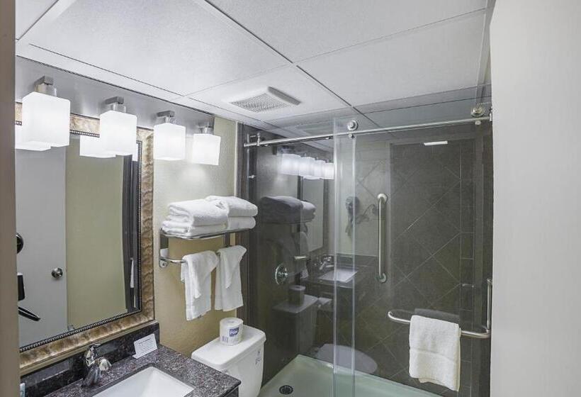 Quarto Deluxe, Quality Inn & Suites