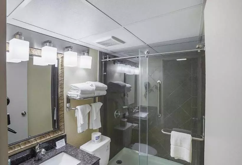 デラックスルーム, Quality Inn & Suites