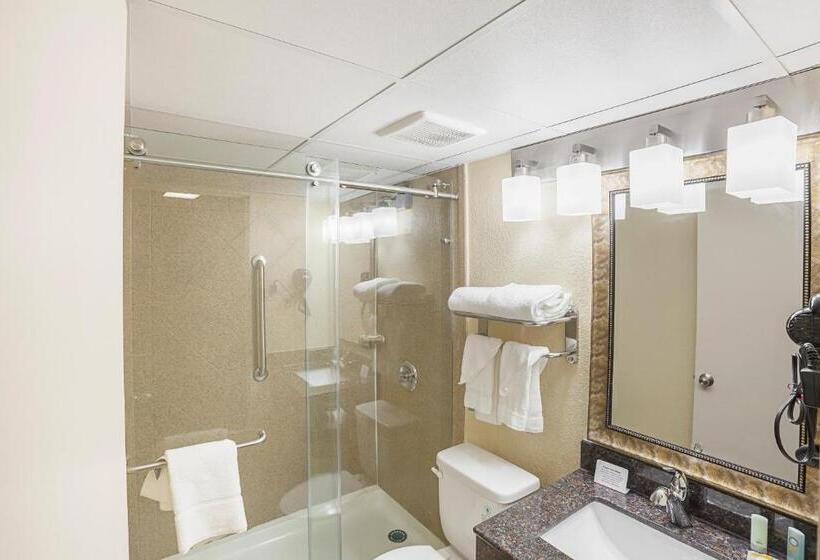 Quarto Deluxe, Quality Inn & Suites