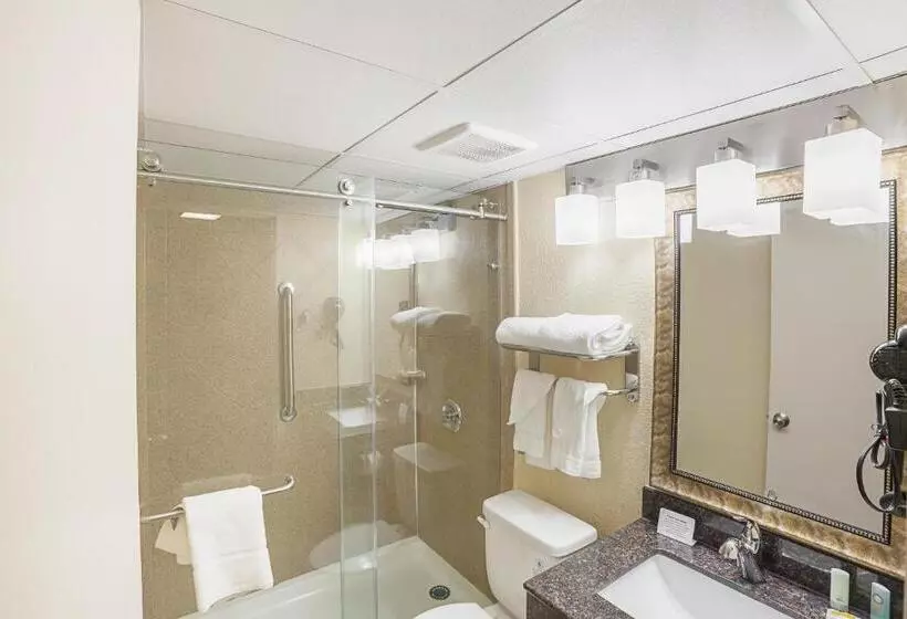 デラックスルーム, Quality Inn & Suites