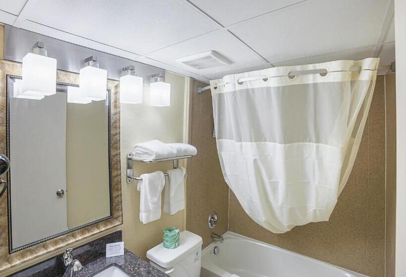 Quarto Deluxe, Quality Inn & Suites