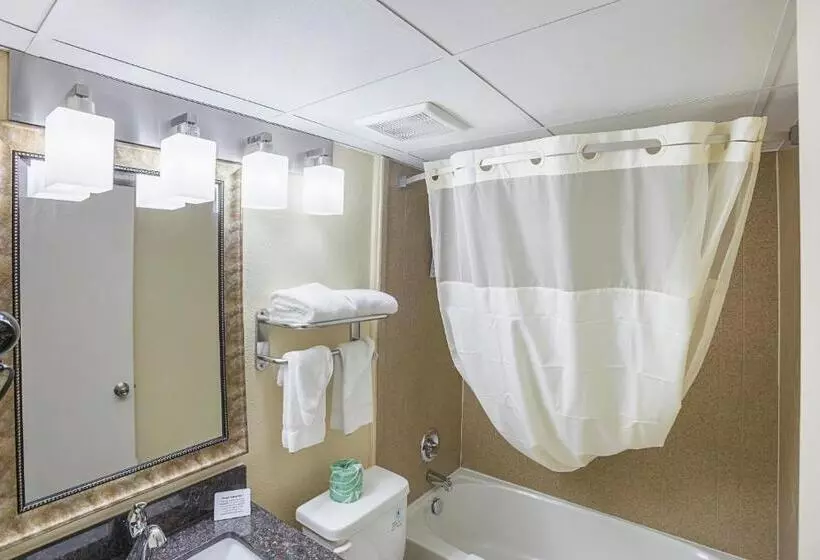 デラックスルーム, Quality Inn & Suites