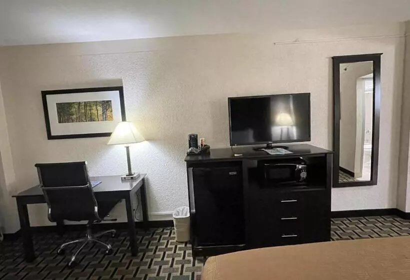 キングサイズベッドのスタンダードルーム, Quality Inn & Suites