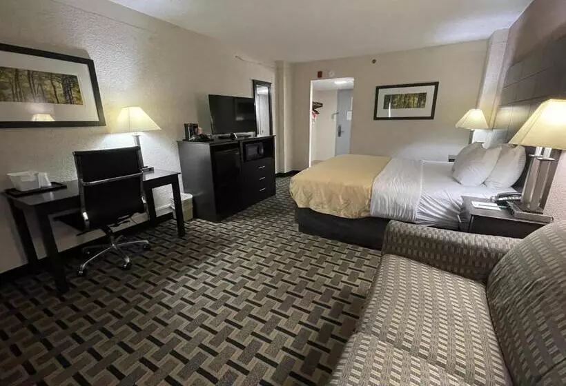 キングサイズベッドのスタンダードルーム, Quality Inn & Suites