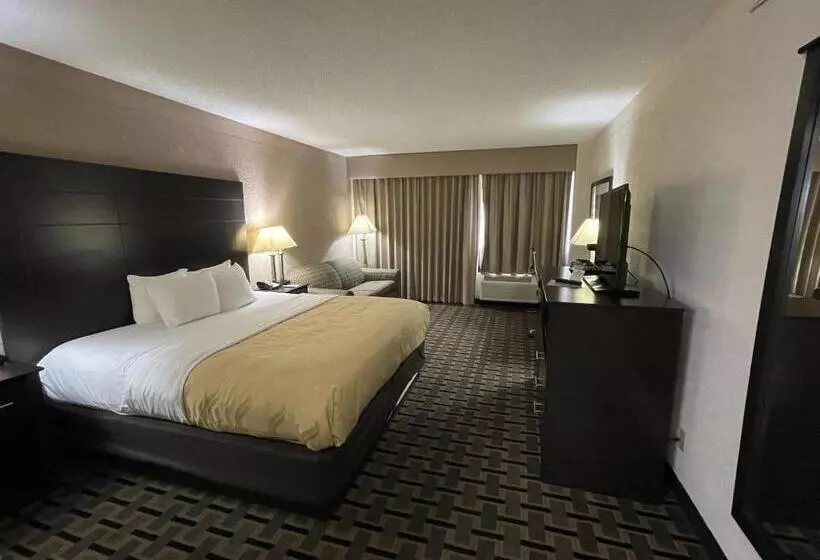 キングサイズベッドのスタンダードルーム, Quality Inn & Suites