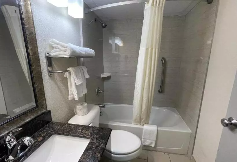 キングサイズベッドのスタンダードルーム, Quality Inn & Suites
