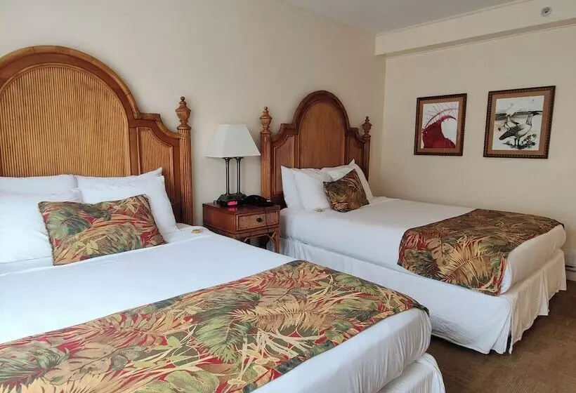 スタンダード４人部屋, Hawaii Volcano House