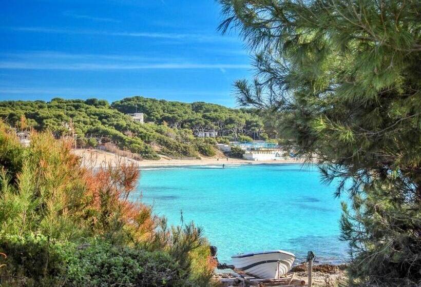 패밀리 스위트, B&b Alto Salento Pool And Sun