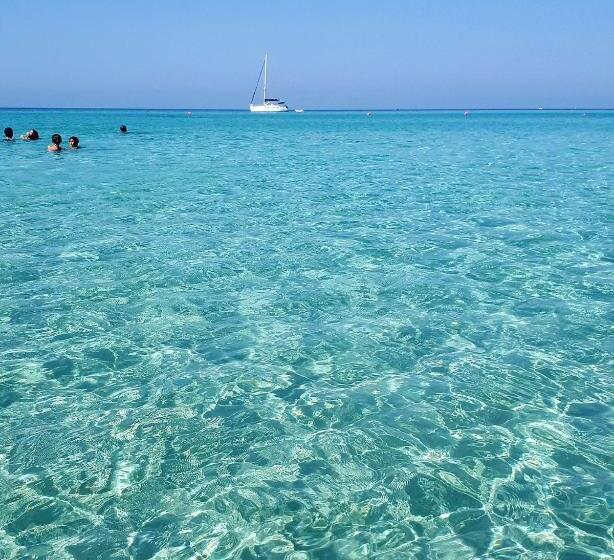 패밀리 스위트, B&b Alto Salento Pool And Sun