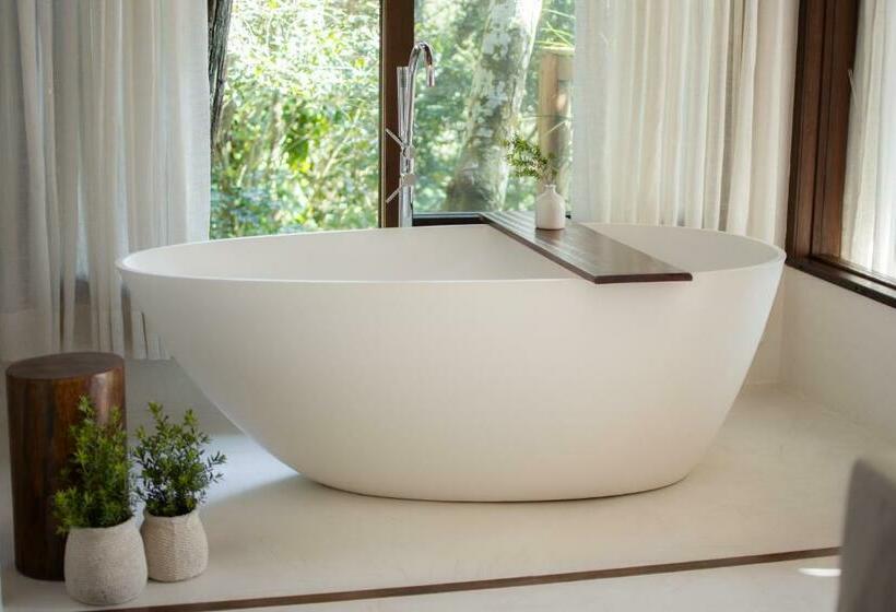 ガーデンビュースタンダードルーム, Aurora E Vale