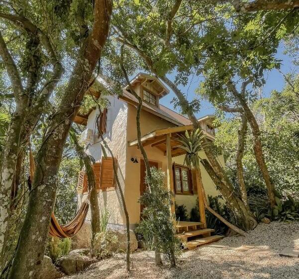 シャレー・スペリアー1寝室, Aurora E Vale