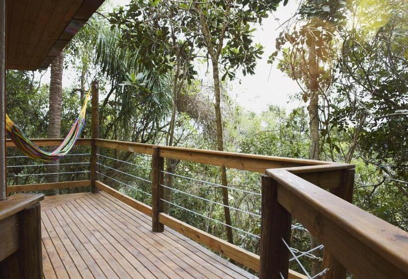 ガーデンビュースタンダードルーム, Aurora E Vale