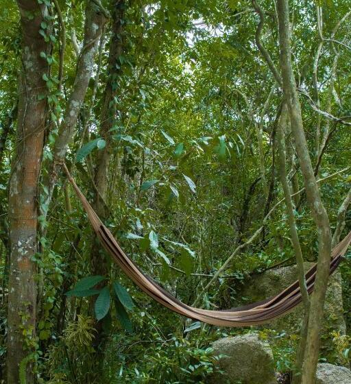 シャレー・スペリアー1寝室, Aurora E Vale