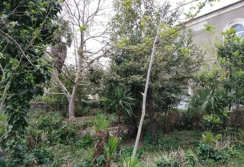 اتاق اکونومی, Downtown Guest House