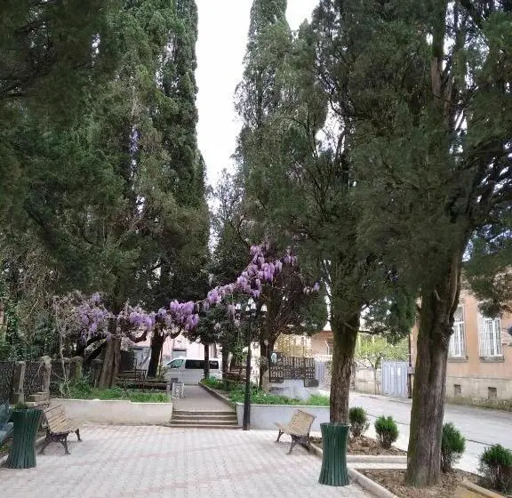 اتاق اکونومی, Downtown Guest House