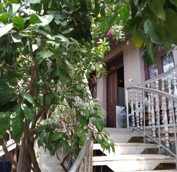 اتاق اکونومی, Downtown Guest House