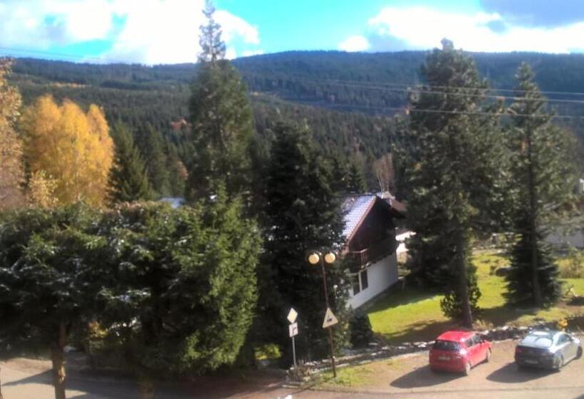 スタンダード4人部屋, Penzion Pod Boubínem