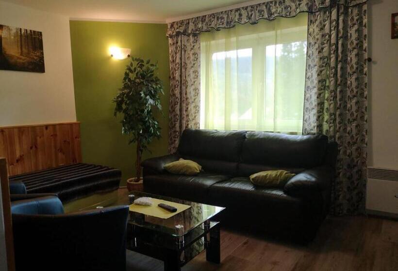 スタンダードルーム, Penzion Pod Boubínem