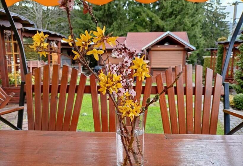 スタンダードルーム, Penzion Pod Boubínem