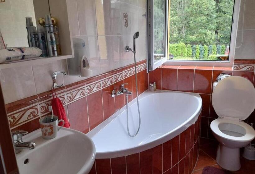 スタンダード4人部屋, Penzion Pod Boubínem