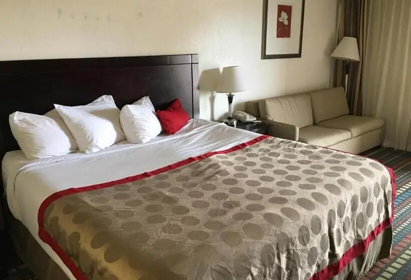 اتاق استاندارد با تخت بزرگ برای معلولان, Budget Inn Laramie