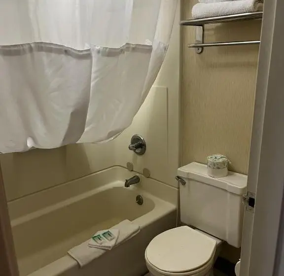 اتاق استاندارد با تخت بزرگ, Budget Inn Laramie