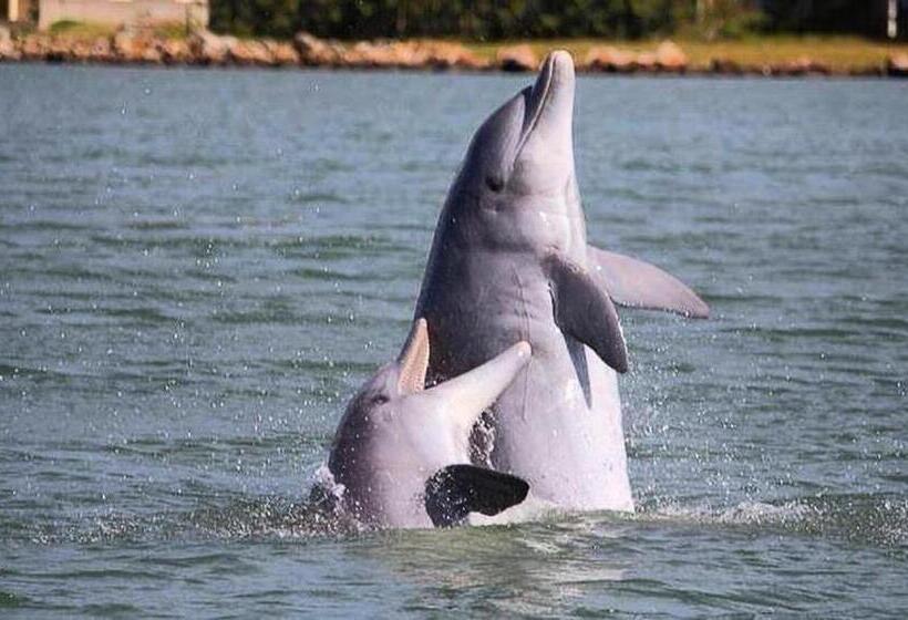 Family Suite, Cabanas Villa Del Mar