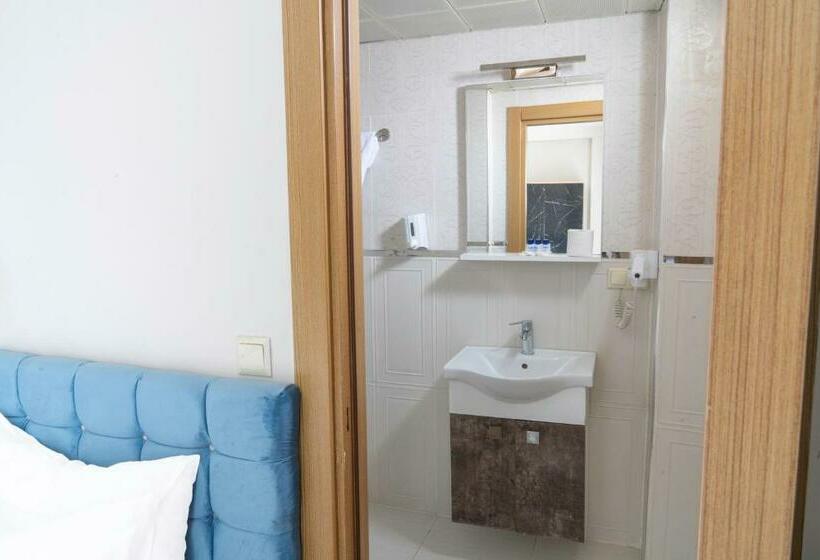 اتاق استاندارد, Loss