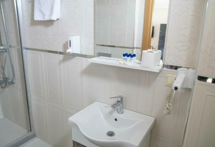 اتاق استاندارد, Loss